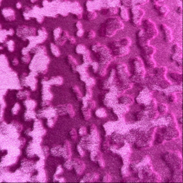 Textured Velvet