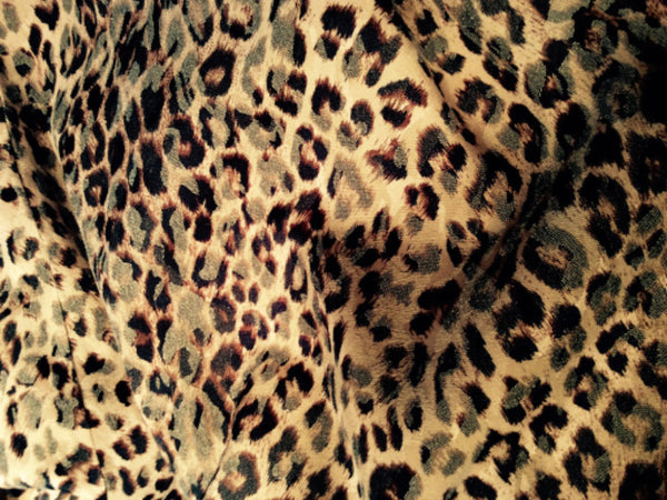 Leopard Skin