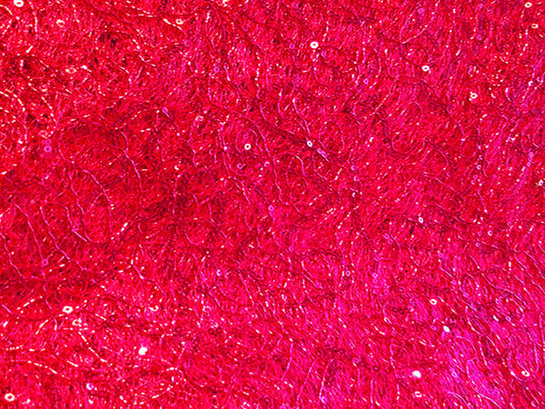 Red Sequin Web