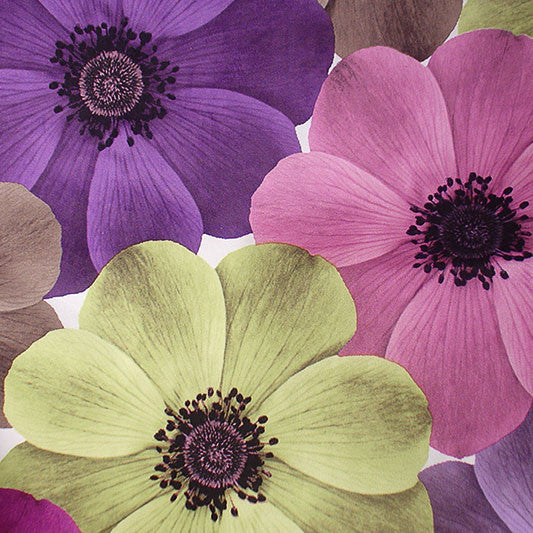 Full Bloom
