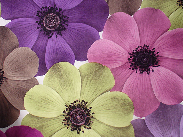 Full Bloom