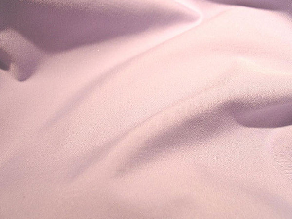 Lavender Cotton