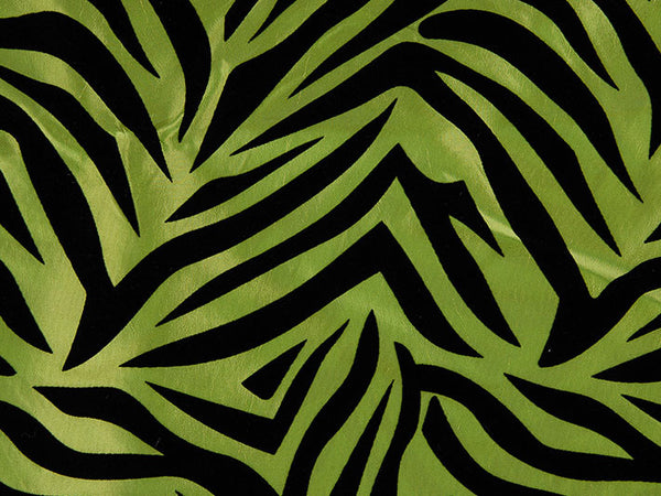 Lime Zebra
