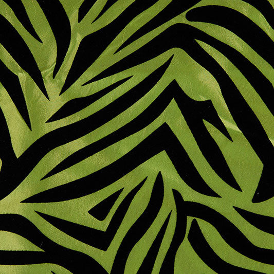Lime Zebra