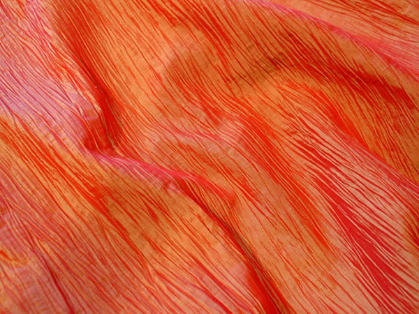 Persimmon Bark