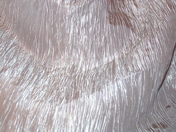 Silver Bark