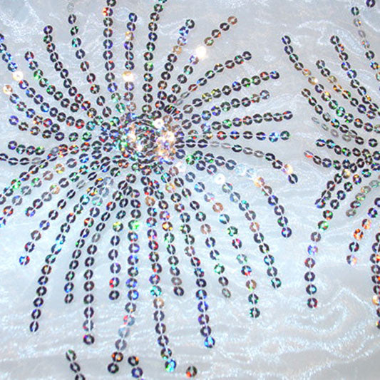 Silver Burst Sequins