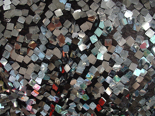 Silver Paillettes