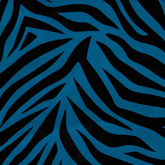 Turquoise Zebra