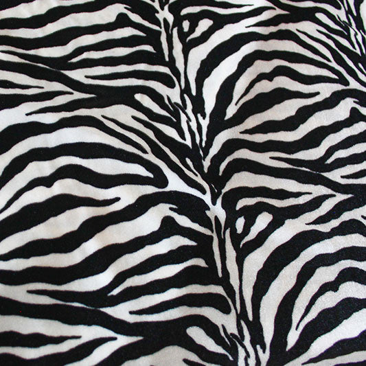 Wild Zebra