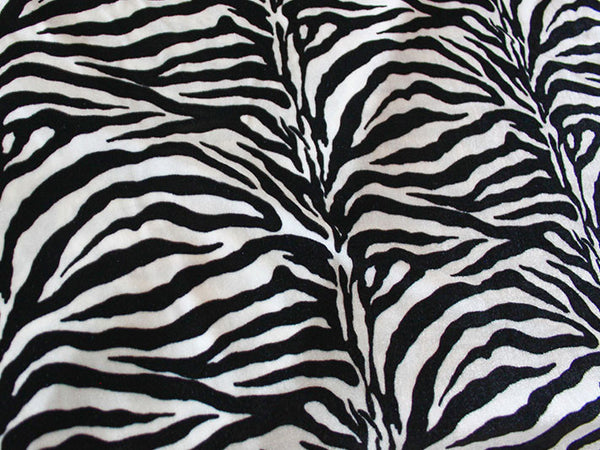 Wild Zebra