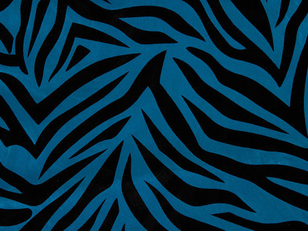 Turquoise Zebra